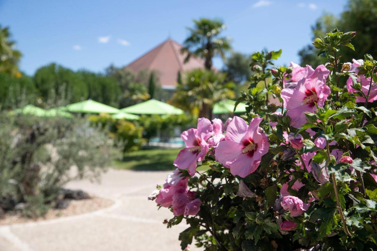 فندق Les Jardins De Beauval سانت إينيو المظهر الخارجي الصورة